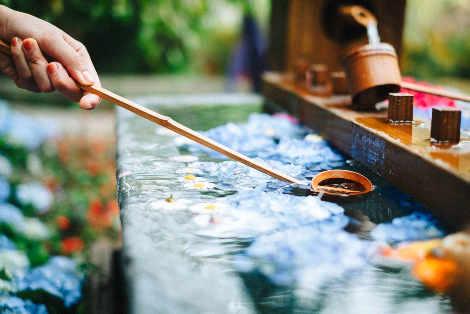 薰衣草森林(含門票):薰衣草季