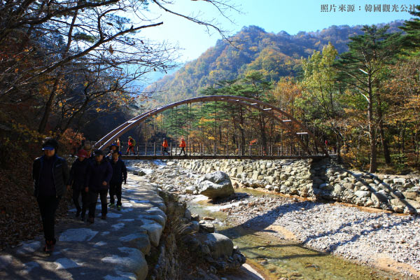 雪嶽山-雪嶽山國立公園(賞楓+纜車來回+新興寺)