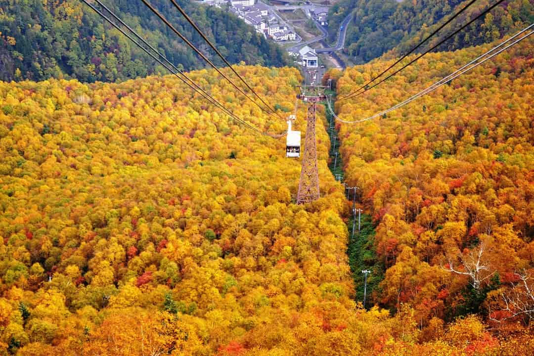 黑岳纜車-秋(層雲峽觀光協會提供)-黑岳纜車(紅葉)