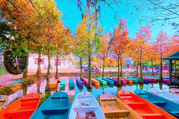 國泰世華cube卡週年慶 雲林輕旅行 水上城堡鹿角村 蜜蜂故事館 斗六老街一日 高雄 台南出發 Colatour 可樂旅遊