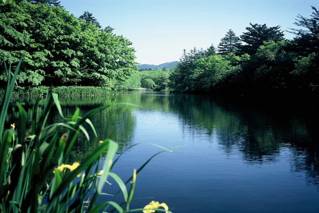 雲場池(写真提供：軽井沢町)-輕井澤慢漫遊