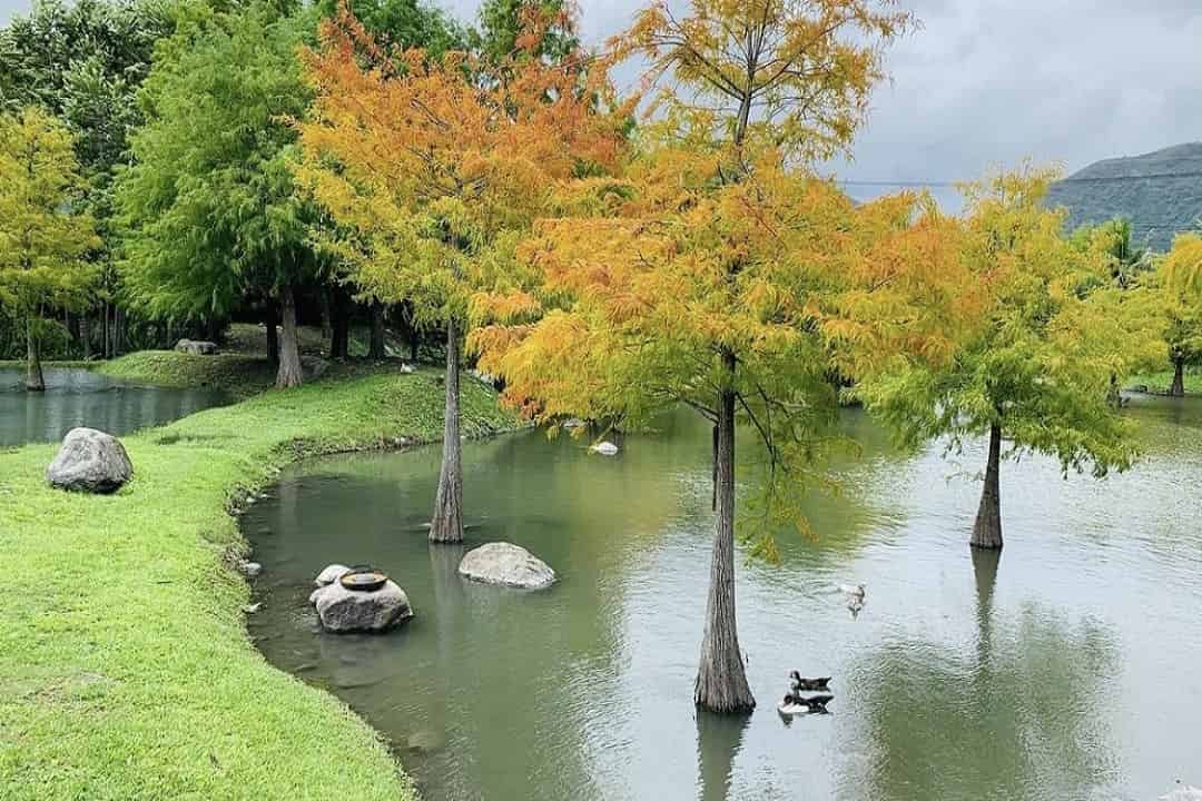 松湖驛站_IG:tonylu070104提供-D1：松湖驛站