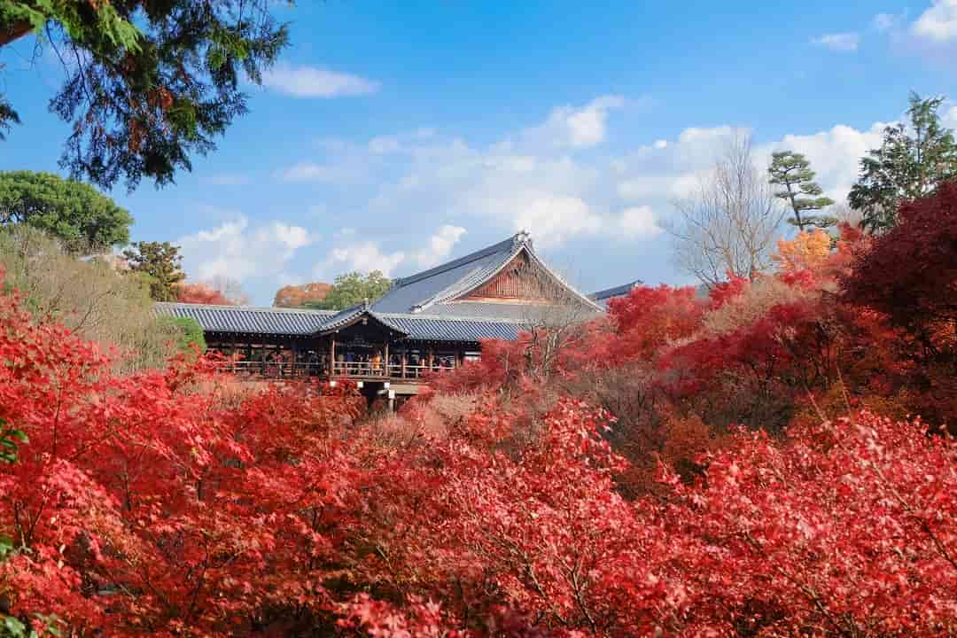東福寺-賞楓紅葉名所