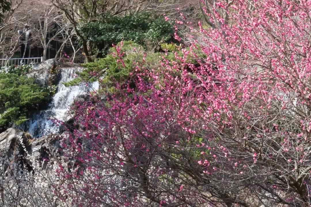 行程特色圖片