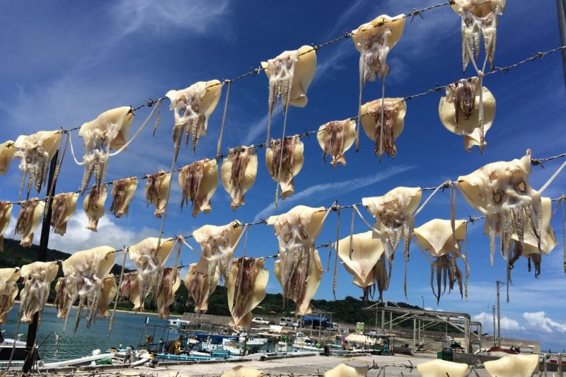 照片來源：沖繩觀光局官網-奧武島(貓咪之島)