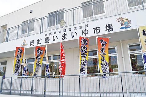 照片來源：沖繩觀光局官網-奧武島(貓咪之島)