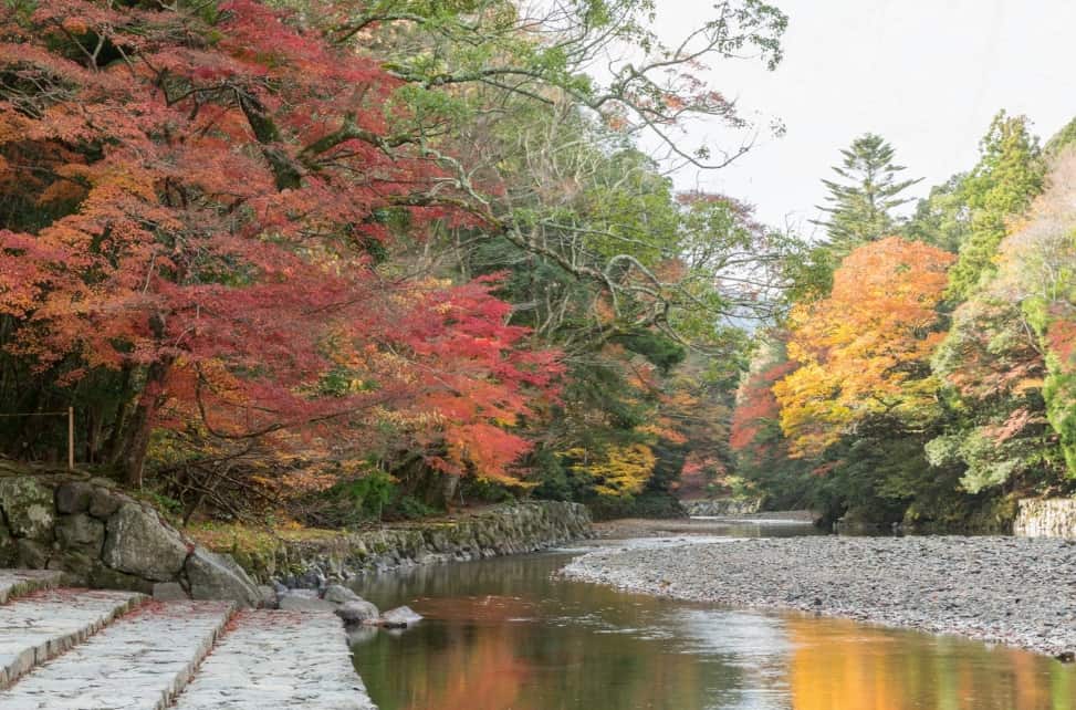 D4：五十鈴川宇治橋