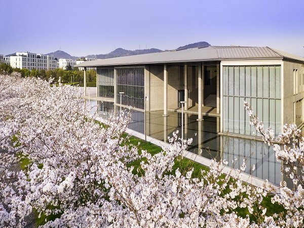 走進「安藤忠雄」的大屋頂：良渚文化藝術中心(賞櫻)