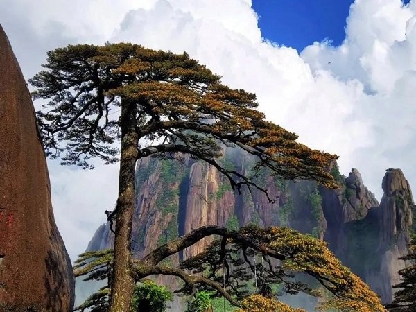 黃山-黃山景區(世界文化自然遺產)