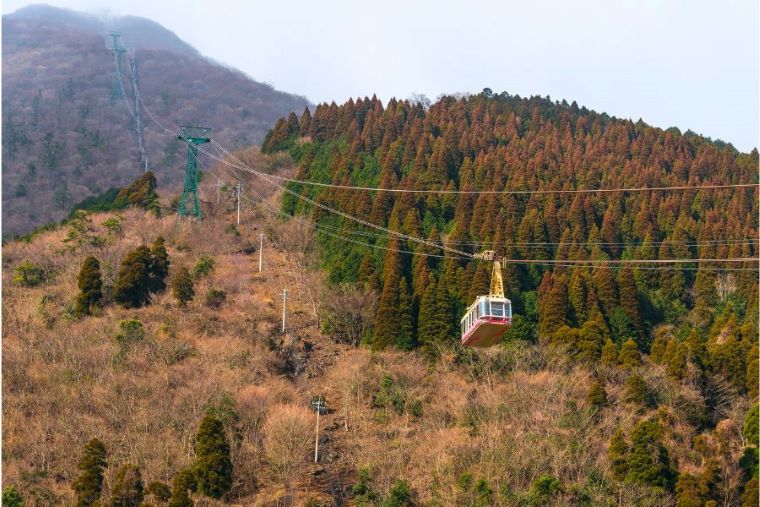 別府空中纜車(紅葉)