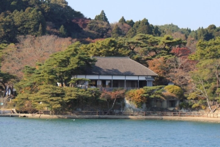 松島灣(遊覽船+抹茶體驗)