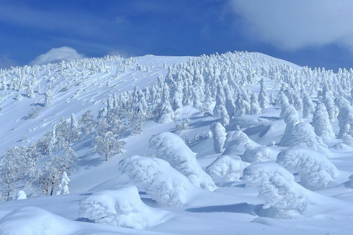 森吉山阿仁樹冰纜車(冬季樹冰+雪盆體驗)