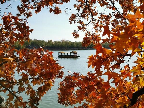 頤和園-秋意濃北京賞楓紅銀杏