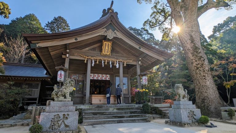 D4：寶滿宮竈門神社(賞櫻)