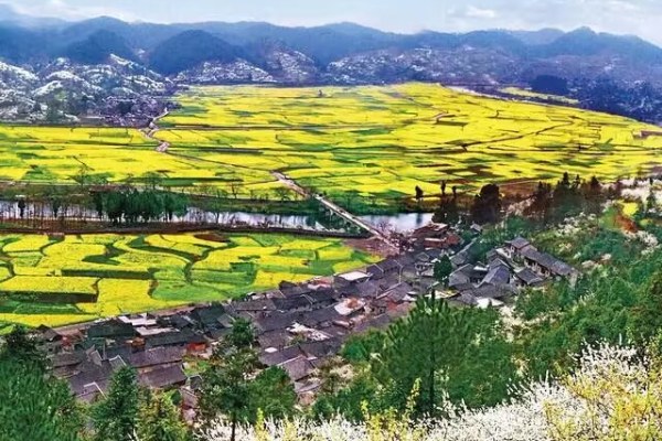 金海雪山景區賞花-季節限定賞花景點