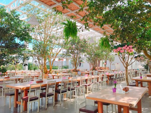 香草菲菲芳香植物博物館｜香氛溫室花園