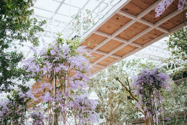 香草菲菲芳香植物博物館｜香氛溫室花園