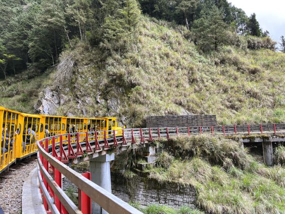 【太平山國家森林遊樂區】