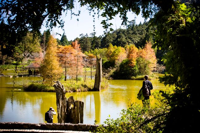 力麗觀光提供-【明池山莊】