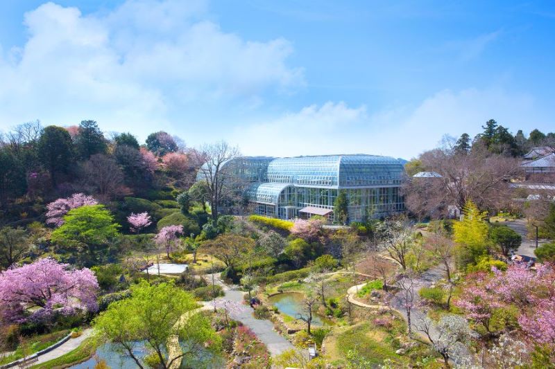D4：牧野植物園