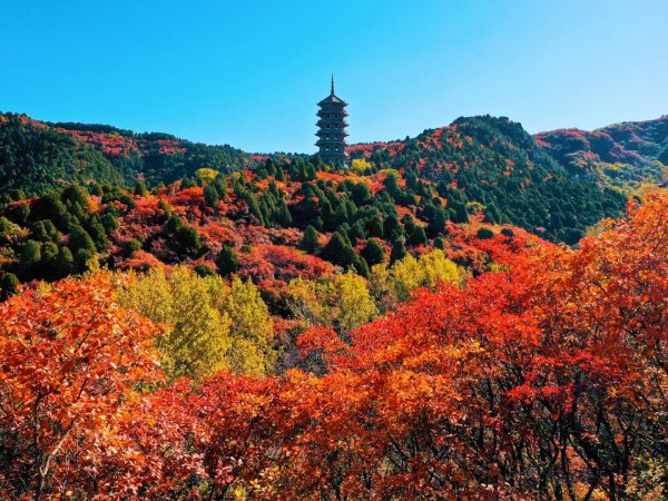 濟南紅葉谷-濟南紅葉谷