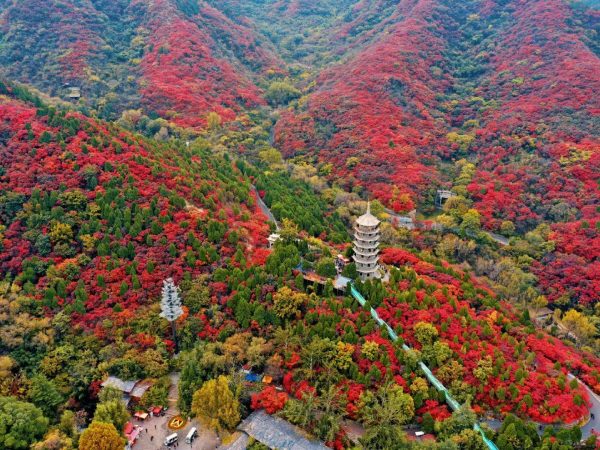 濟南紅葉谷-濟南紅葉谷