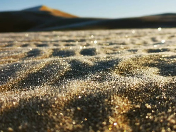 銀肯響沙灣(體驗冬季沙漠活動)