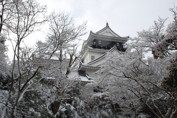 冬-D5：岡崎城