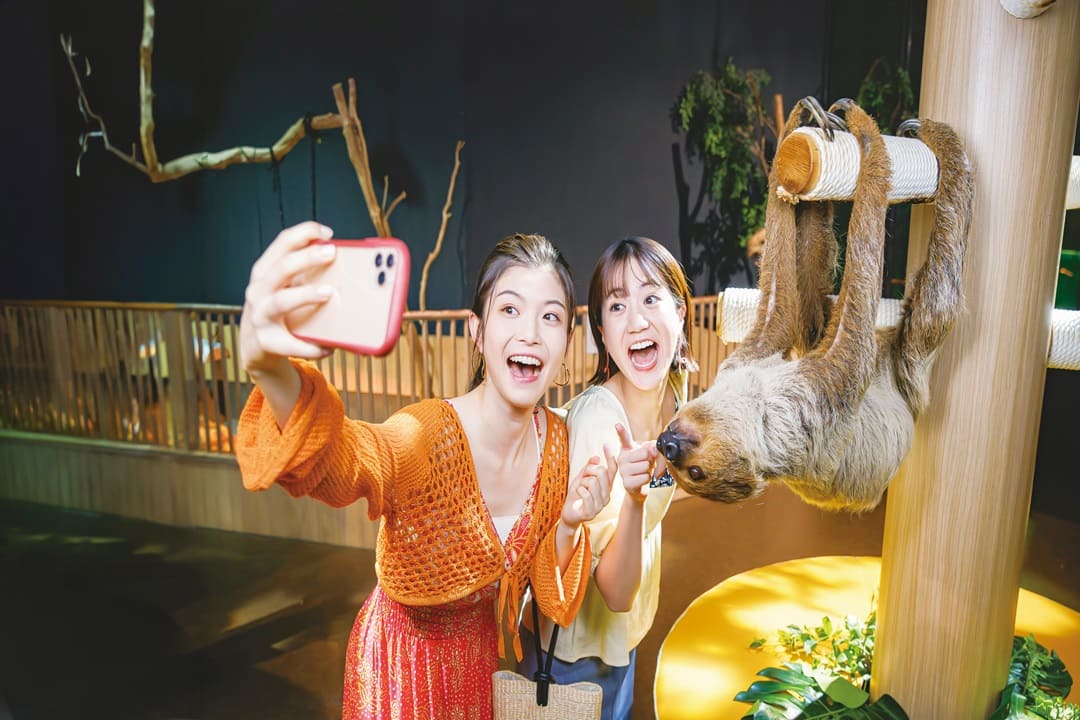 照片來源：DMM KARIYUSHI水族館-DMM KARIYUSHI水族館