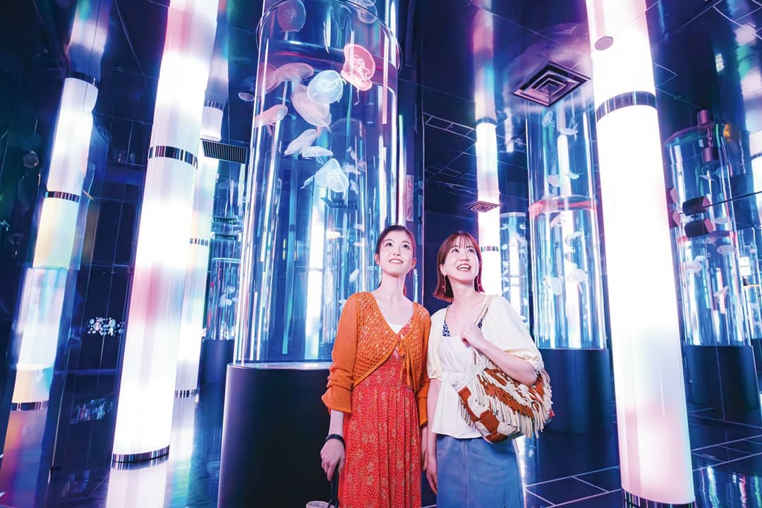 照片來源：DMM KARIYUSHI水族館-DMM KARIYUSHI水族館