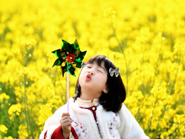 北京春天花開時
