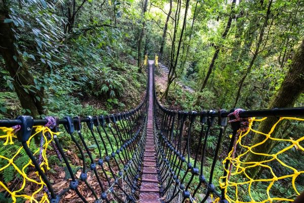 參山國家風景區管理處-梨享森活｜梨山風景區雲端上的果香仙境