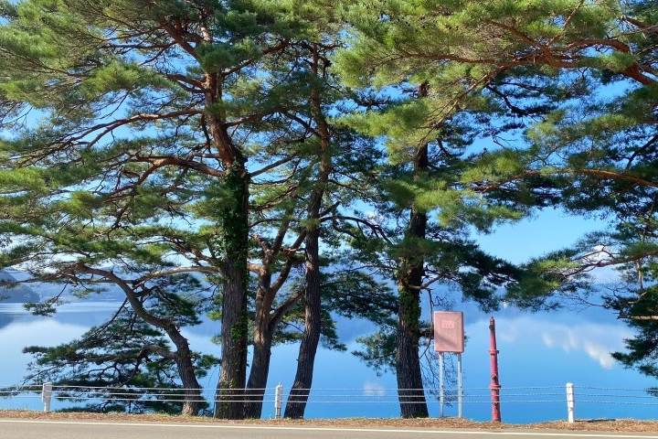 田澤湖(辰子傳說)