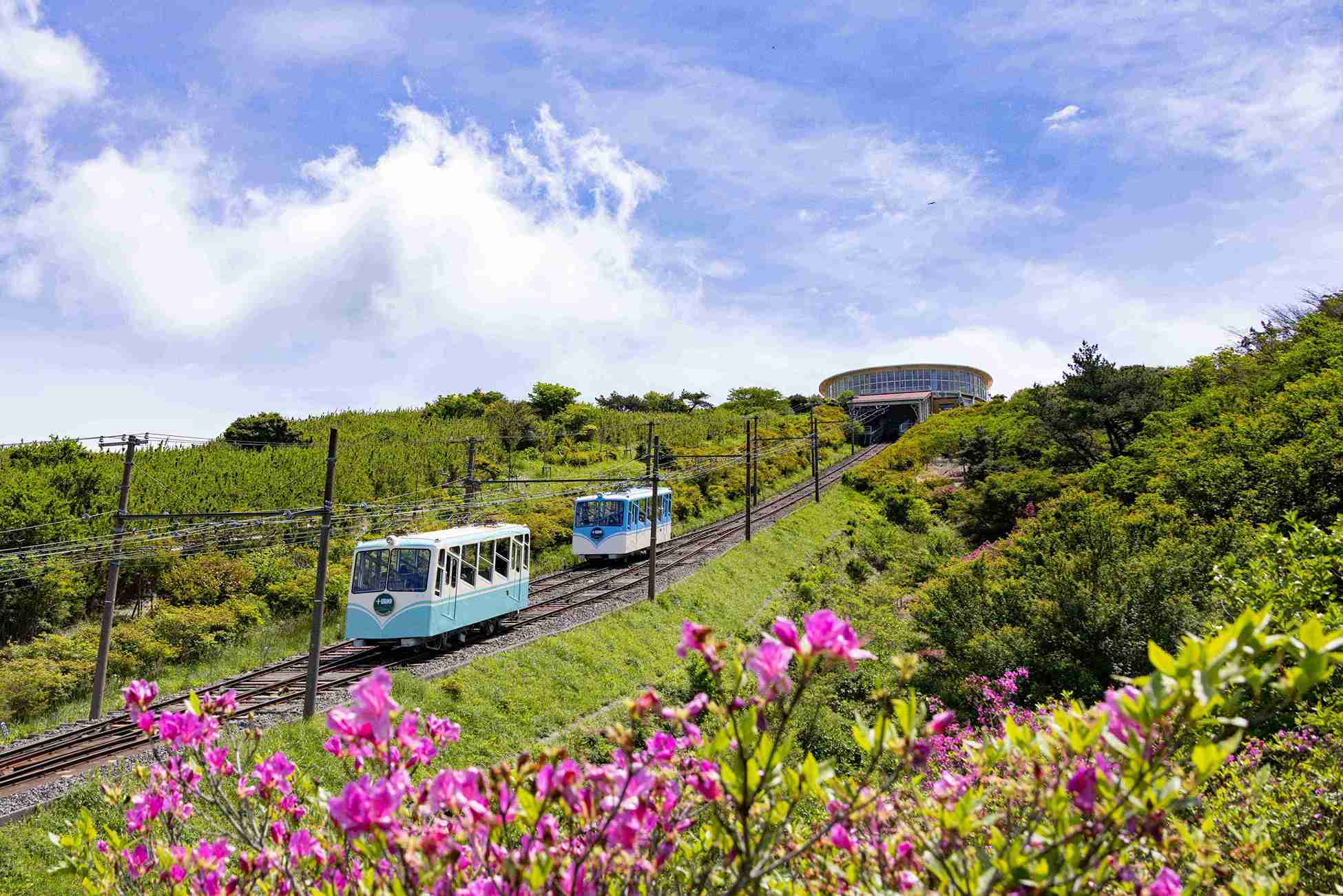 十國峠軌道纜車｜360度絕景展望台