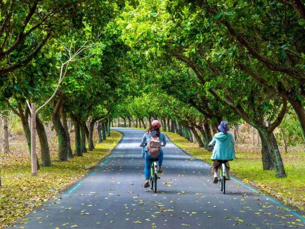 取自 台東觀光旅遊網-【台東森林公園鐵馬行】