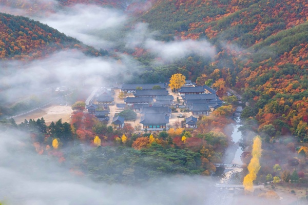 虎踞山雲門寺-虎踞山雲門寺