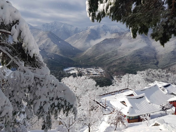 虎踞山雲門寺-虎踞山雲門寺
