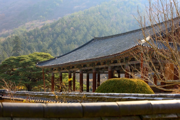 虎踞山雲門寺-虎踞山雲門寺