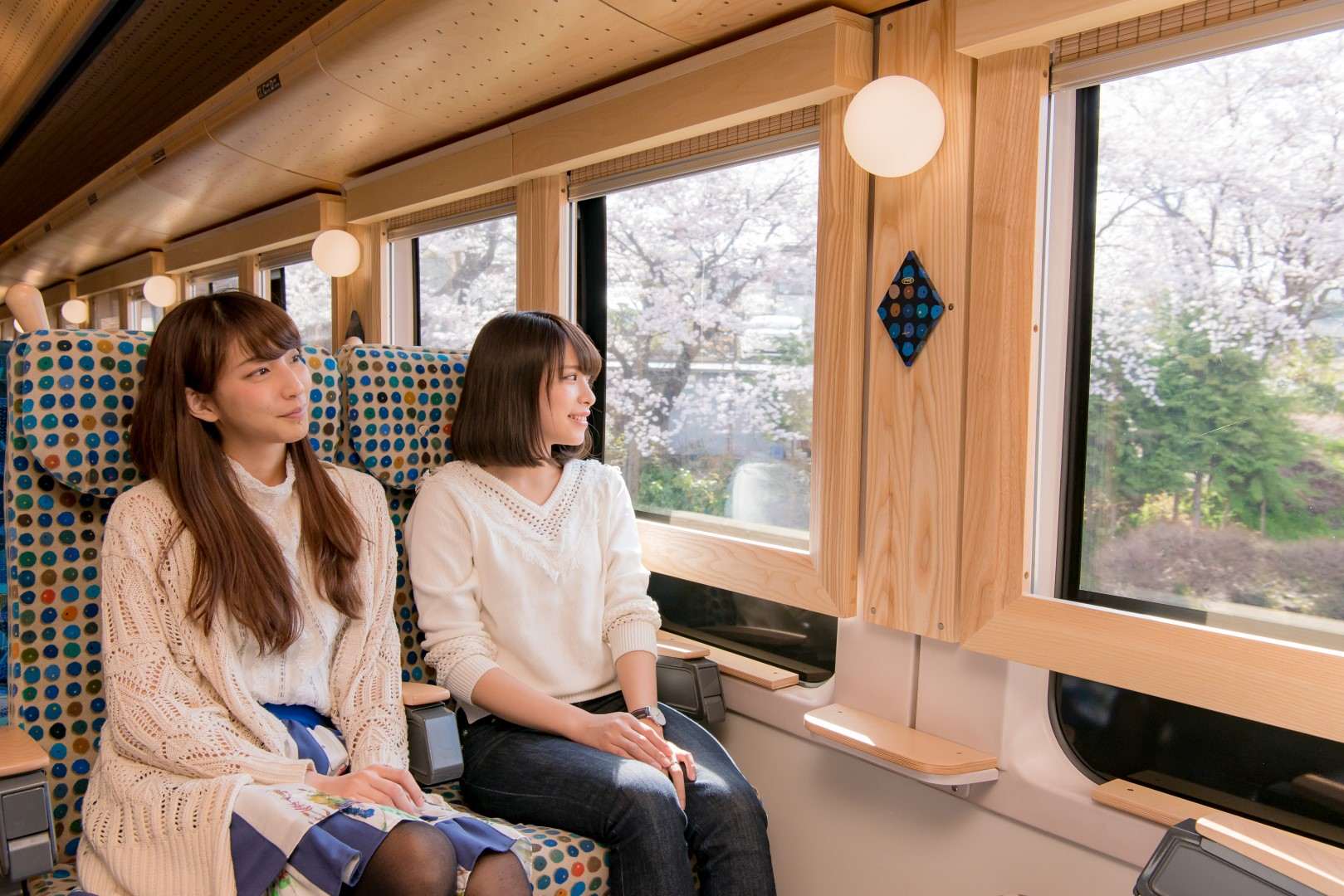 富士山急行電車(河口湖++大月)