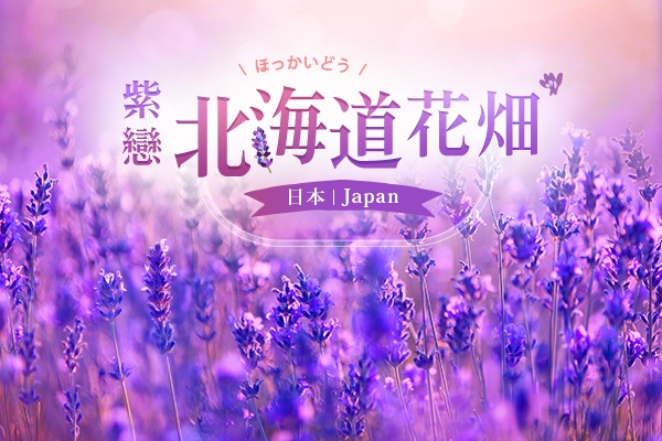 花現富良野(富田農場+美瑛之丘+四季彩之丘)