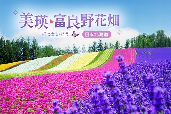 富良野花海．徜徉夏日浪漫～美瑛四季魅力