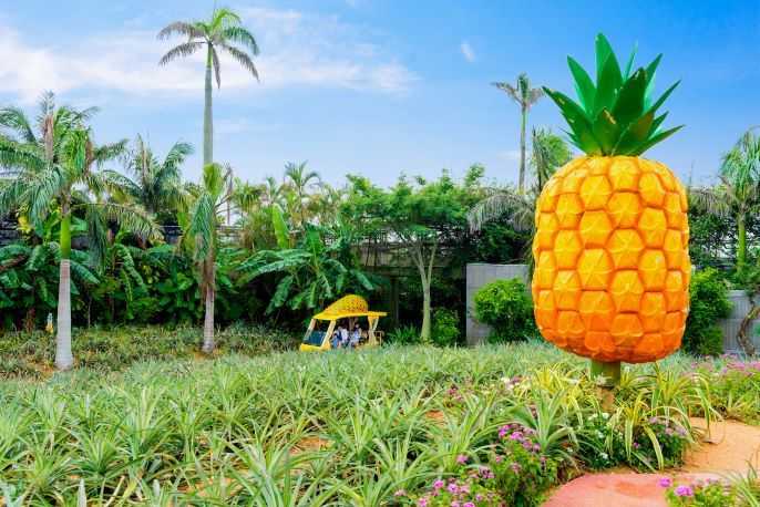 圖片來源:名護鳳梨園官網-Nago Pineapple Park名護鳳梨園