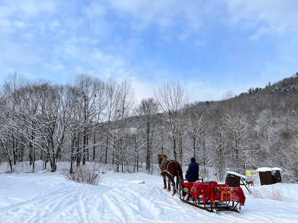 亞布力馬拉爬犁-東北滑雪必去