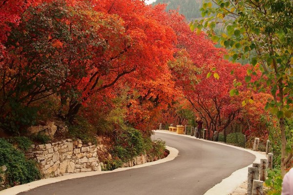 蛟河紅葉谷-秋色賞楓勝地
