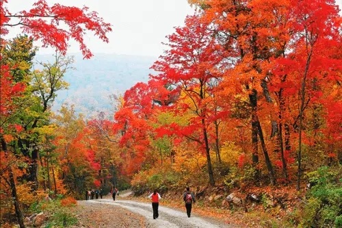 蛟河紅葉谷-秋色賞楓勝地