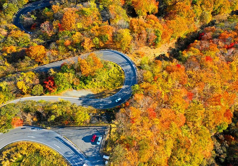 照片取自日光市觀光協會官網-紅葉奧日光