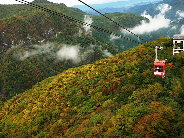 照片取自明智平空中纜車官網-紅葉奧日光