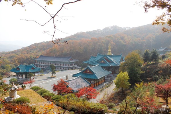 賞楓-D2：法輪寺