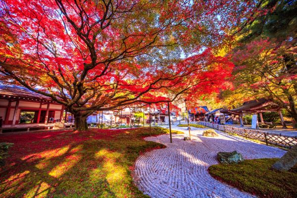 圖片來源：福岡縣觀光連盟提供-九州紅葉故事