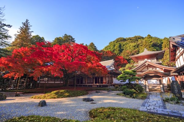 圖片來源：福岡縣觀光連盟提供-九州紅葉景點